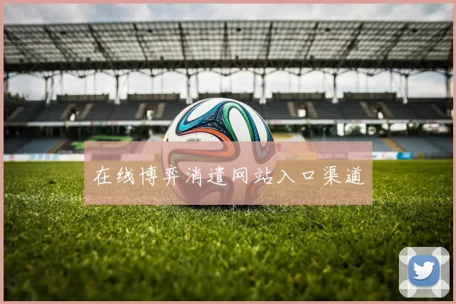 在线博弈消遣网站入口渠道