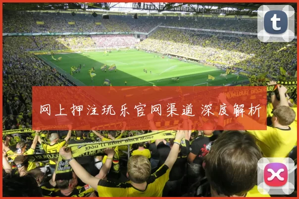 网上押注玩乐官网渠道 深度解析