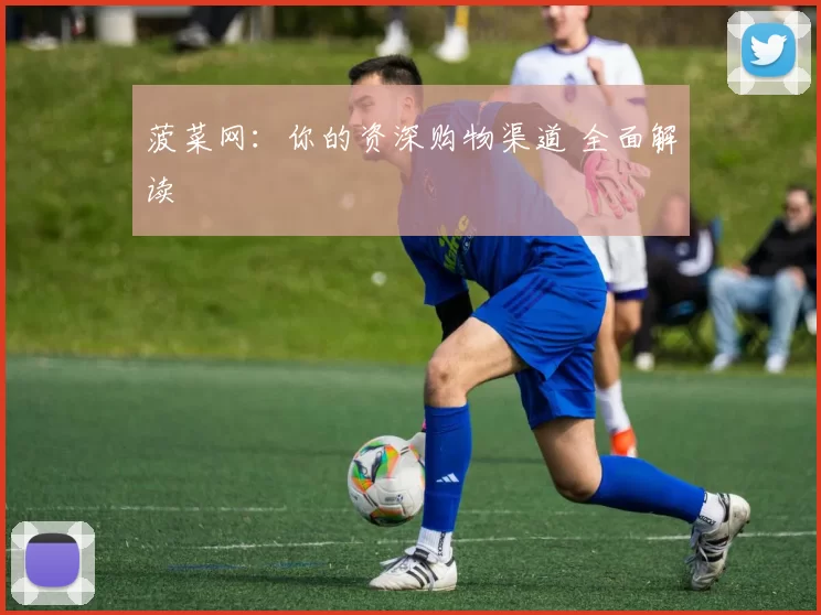 菠菜网：你的资深购物渠道 全面解读