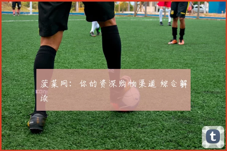 菠菜网：你的资深购物渠道 综合解读